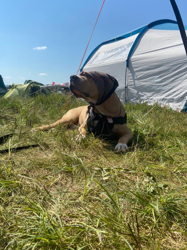 A9A02789-1E4B-4989-B70D-4637B91610A0