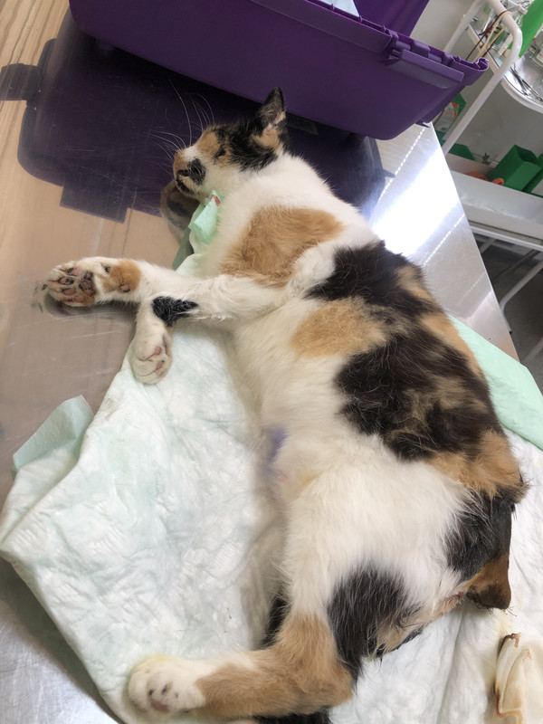 3F788251-4A0C-428E-A3D8-DC05F17EB637