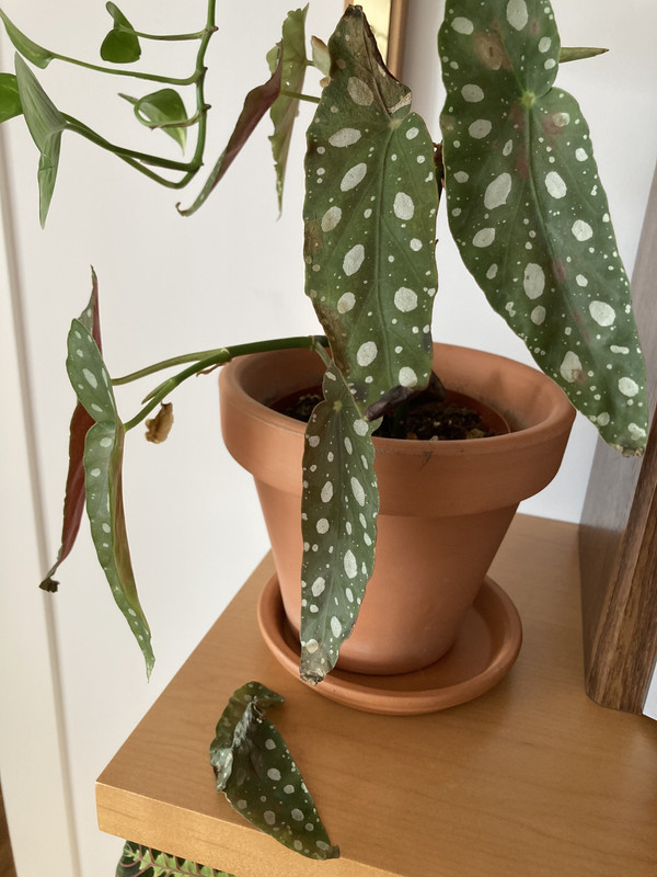 B2413ED4-B8F2-4172-B2A8-AA193680CFBA