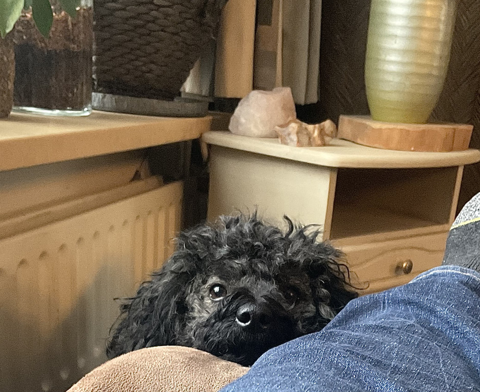 Afbeelding