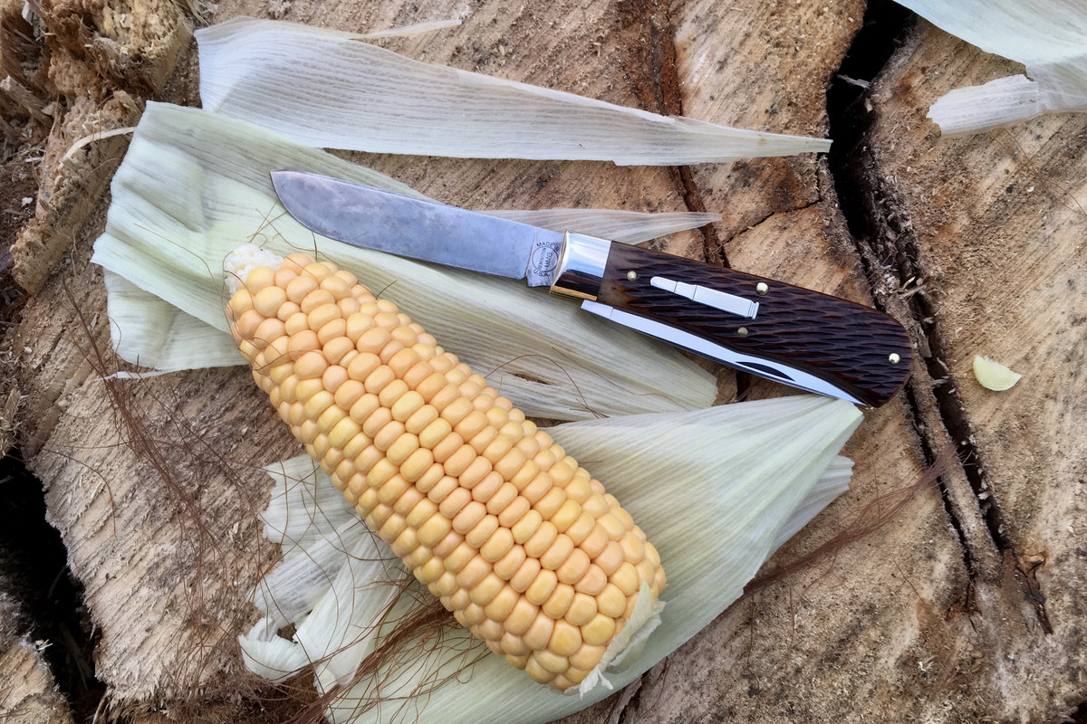 2951AF3A-CDAE-4297-ACDC-29ECDB79C85C