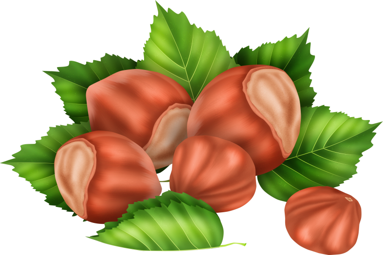 Pumpkinfairykitpudnacorn