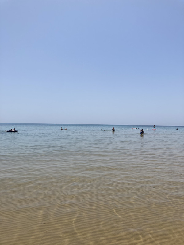 9343E659-18E6-49E3-82F8-FCF576F27147