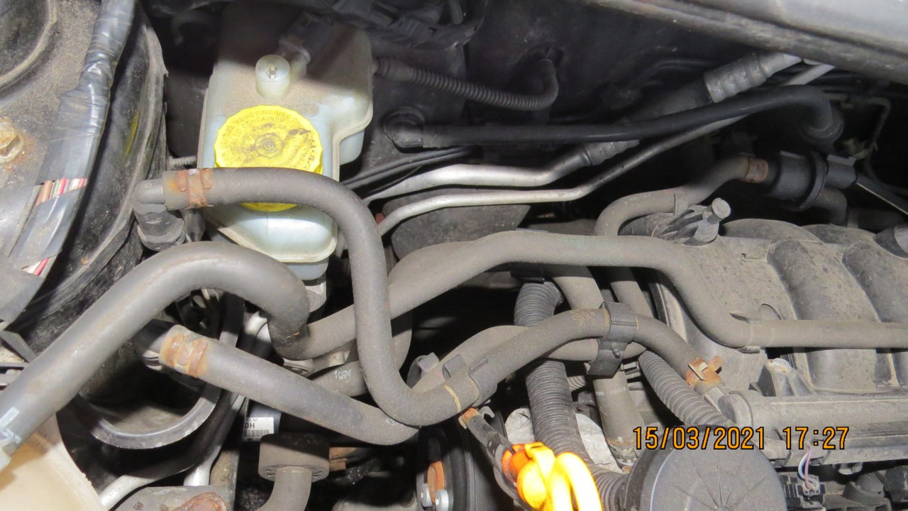 IMG-4131-Medium.jpg