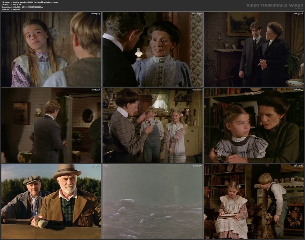 Road to Avonlea S06E06 The Trouble with Davey.mkv