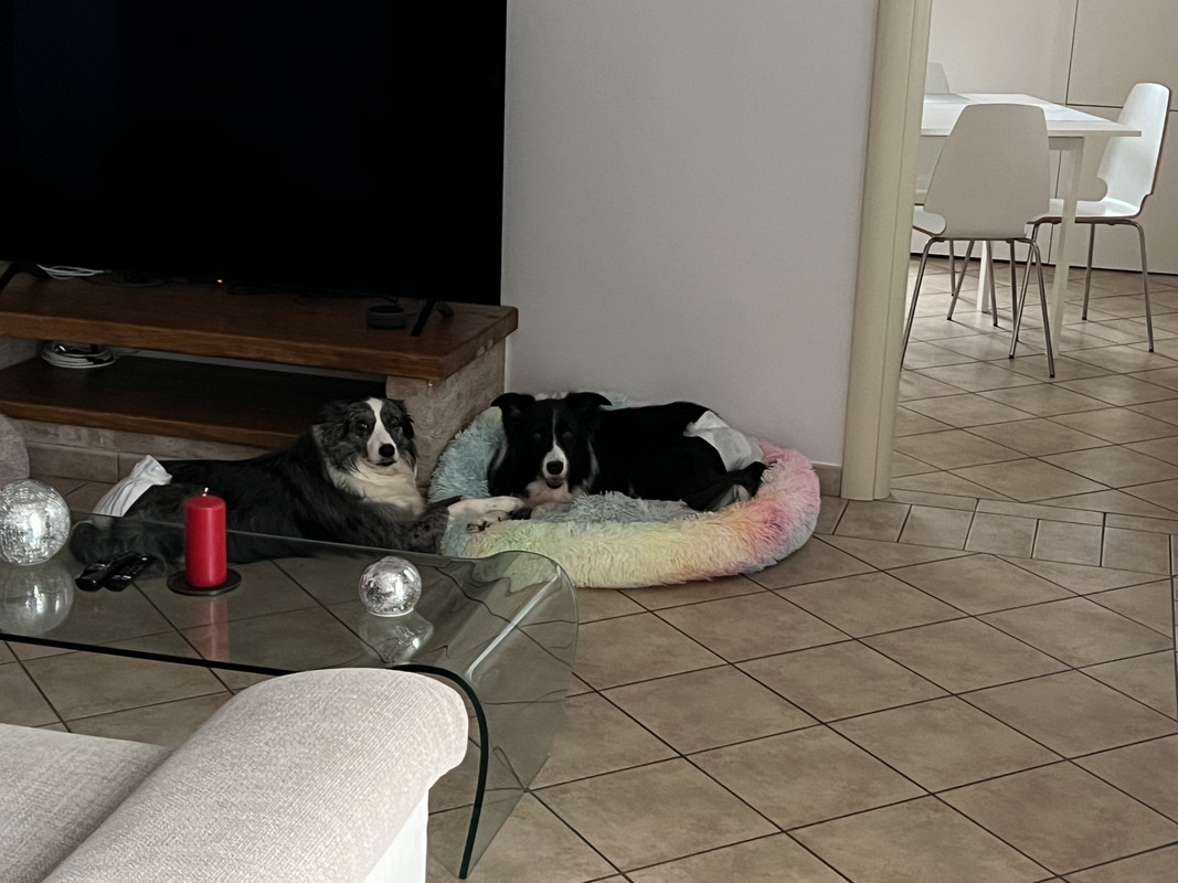 BF5156DA-64D3-4C67-B5AA-DAAAFF6C2ED1