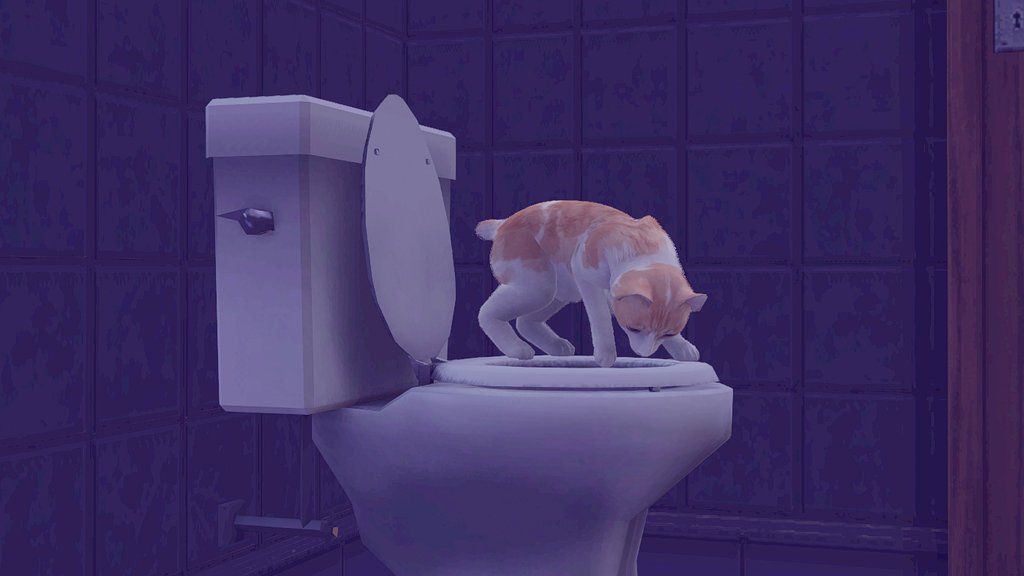 TS3W_2025-01-28_04-11-38.jpg