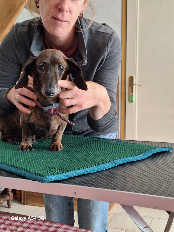 [Image: 20240702-165826.jpg]