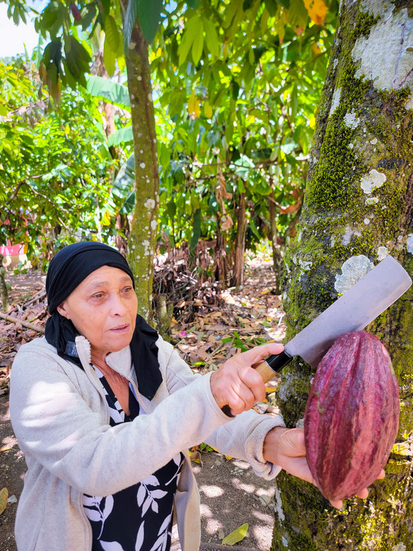 Beneficiaria de proyecto de cacao (AECID)