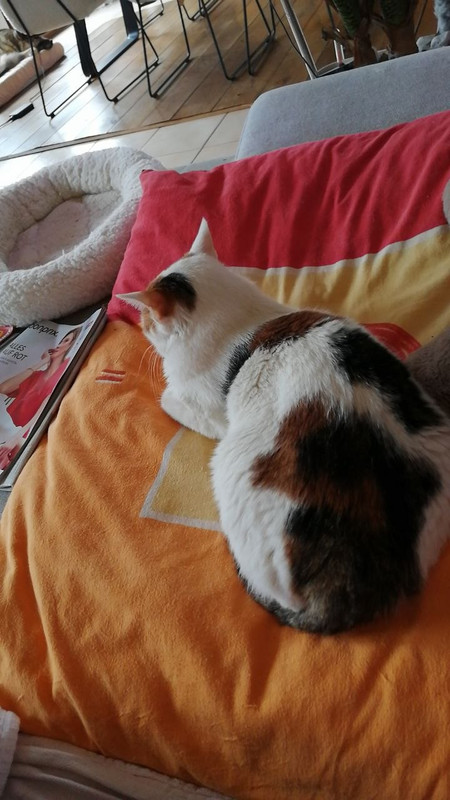 photo 2026 04 12 19 45 57