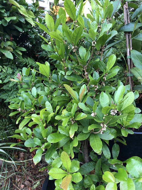 5BE2F5E3-7389-4B9D-913E-6C3333476D0D