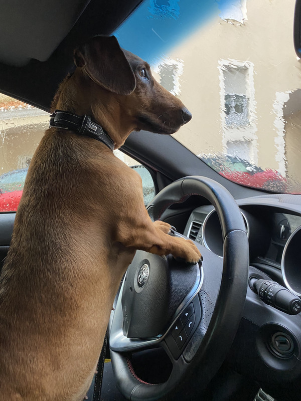 [Image: 0-AC2627-E-5-C4-B-4-D6-D-AD4-F-0-BA7-D8259150.jpg]