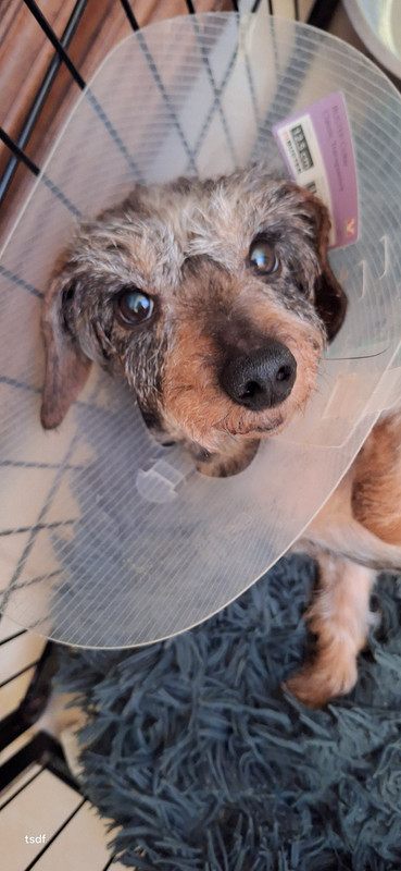 [Image: 20250309-202740.jpg]