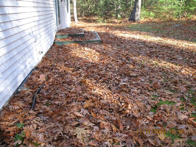 IMG-1820.jpg