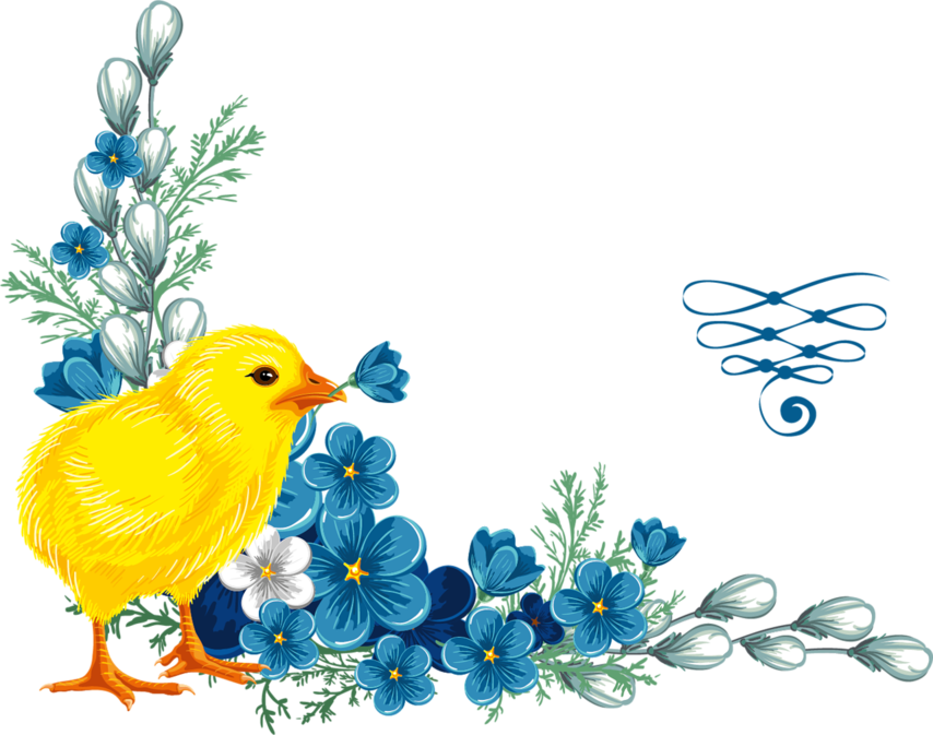 71512891 [преобразованный]