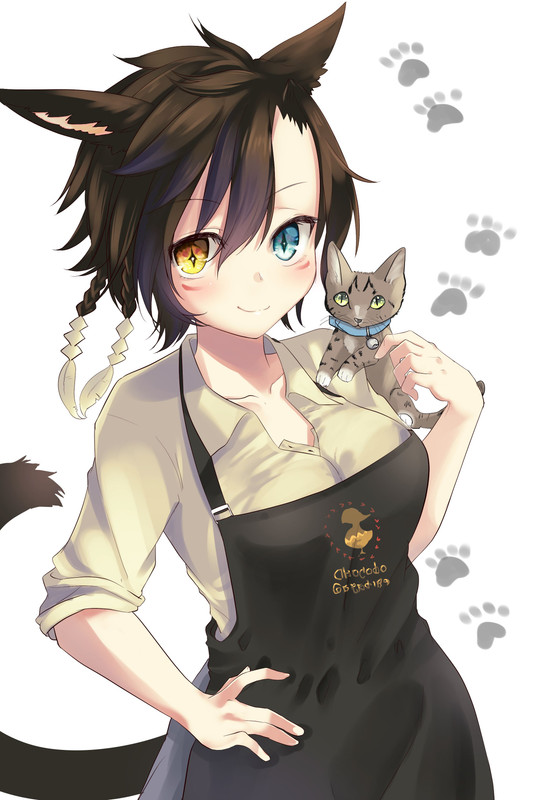 miqo-te-and-chocobo-final-fantasy-and-1-more-drawn-by-akahaneko-e850062550beb488927e31eb516d4c12