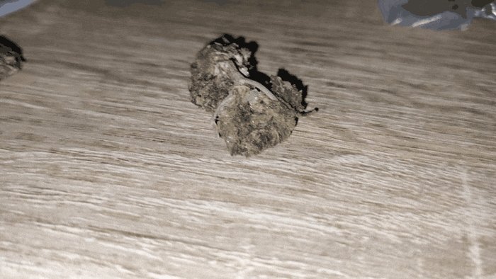 GIF-20251008-144959-986.gif