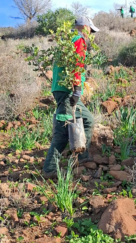 615037619-909833045053876-3402561737980388125-n