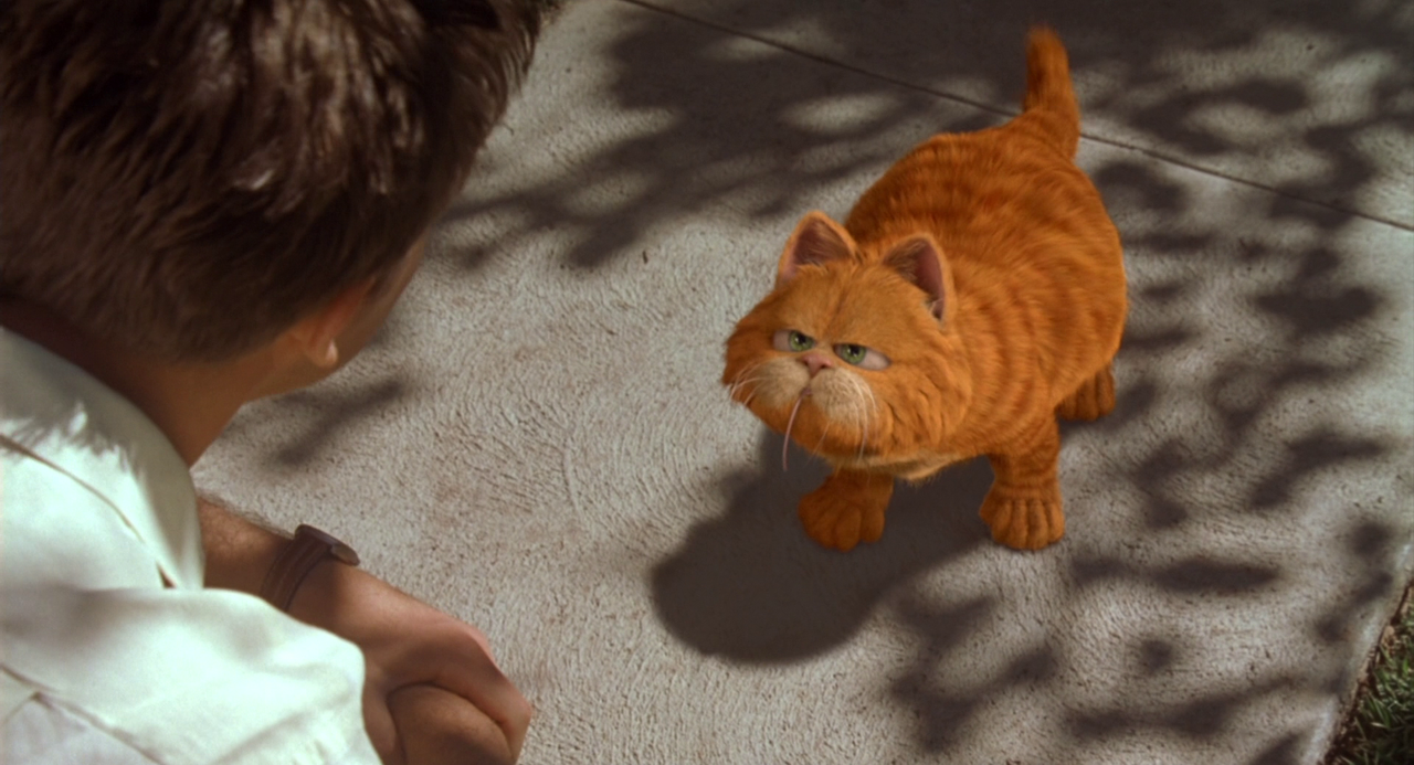 vlcsnap-2024-12-26-10h37m13s910