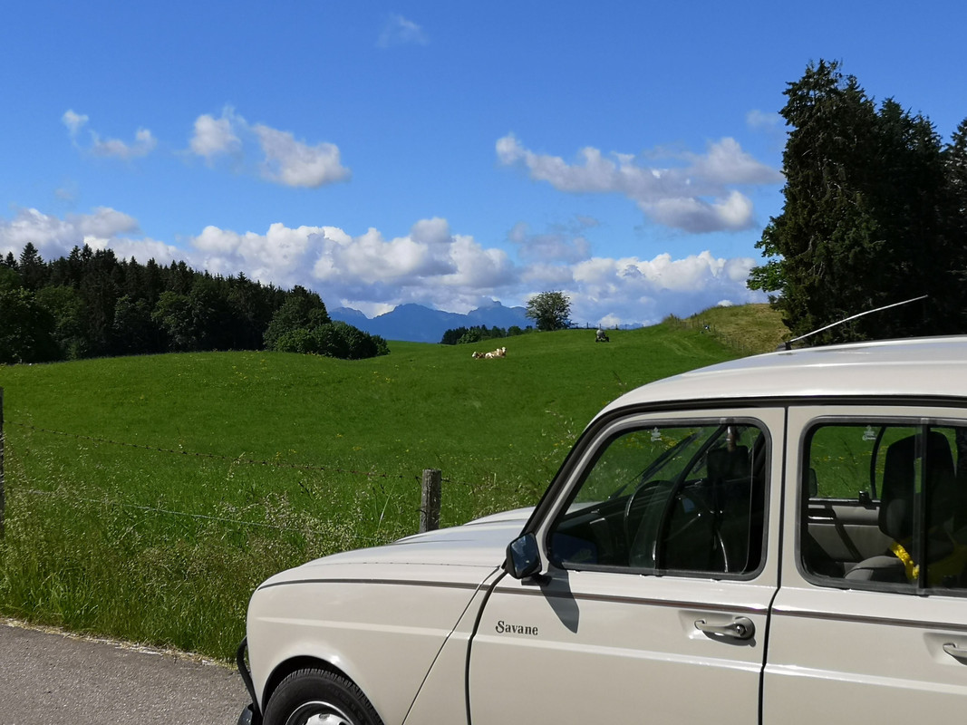 7AD85CB8-BDEE-491C-B225-006E76A46048