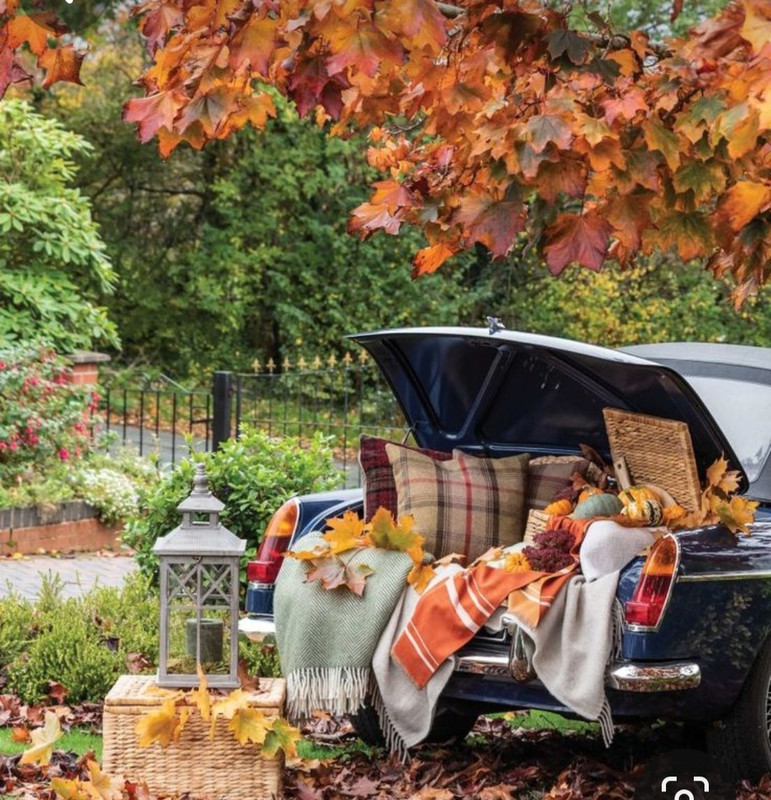 Screenshot_20231115_214102_Pinterest