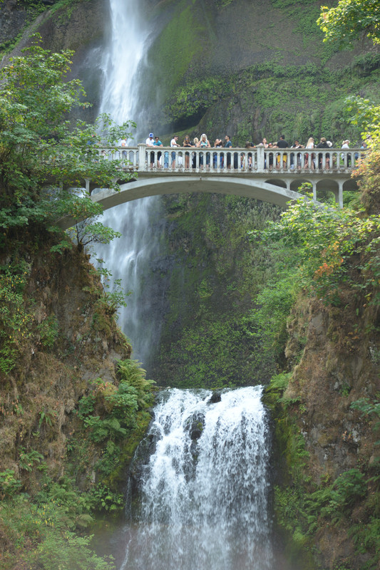 Árboles gigantes, fuegos y volcanes extintos - Oregon y California norte (2018) - Blogs de USA - Centro, Columbia River Gorge y Mount Hood (11)