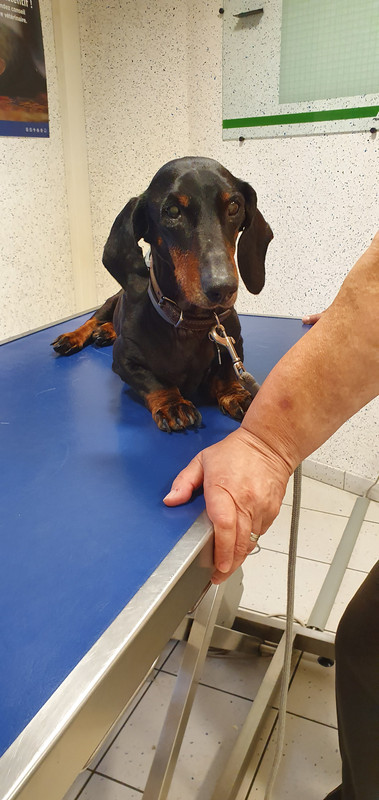 [Image: 20221027-184536.jpg]