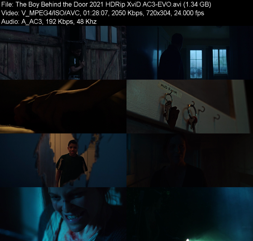 the-boy-behind-the-door-2021-hdrip-xvid-
