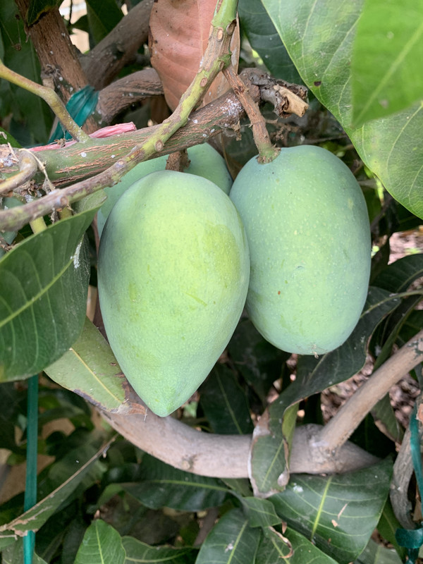 7C09FE13-6BE3-4358-B56C-216D0468D9D0