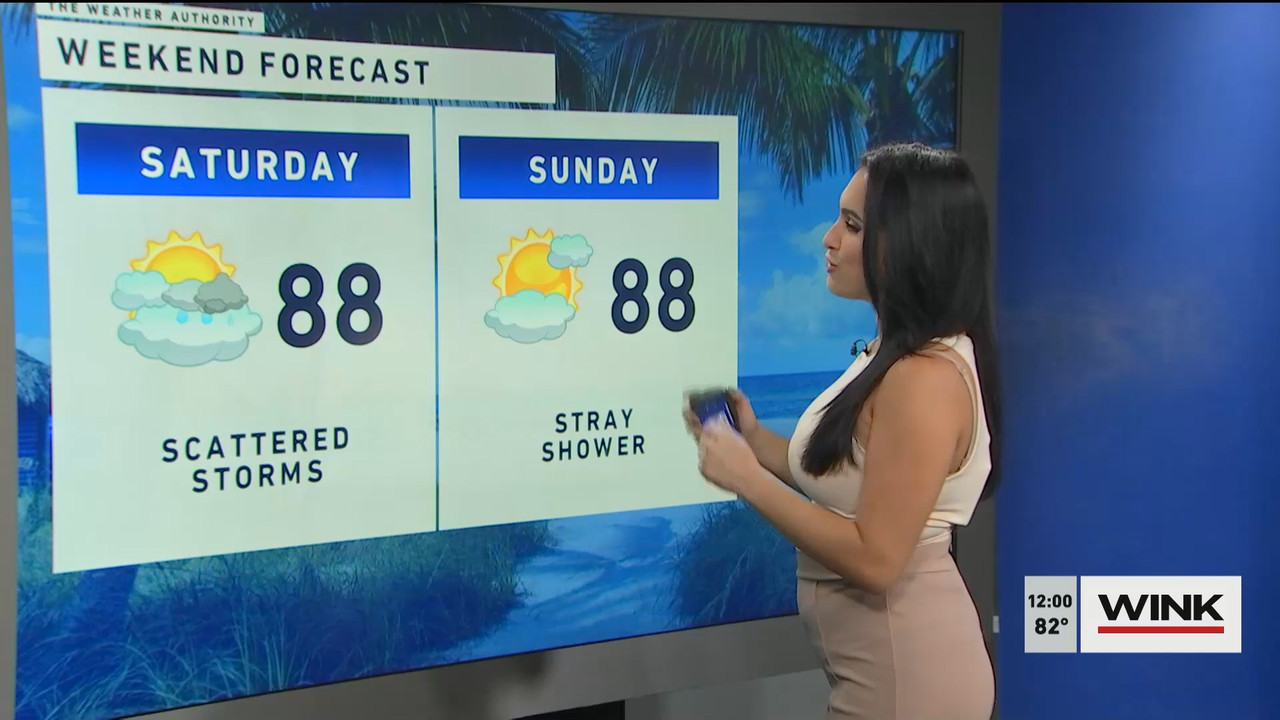 10.14 - 17.00.00 - The WINK Noon News  ᴺᵉʷ. Midday news update..ts_snapshot_07.09.206