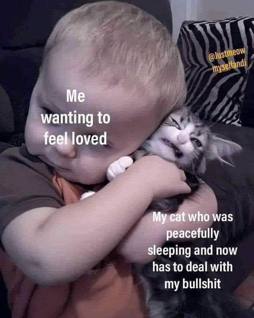Cat-Struggle-X2-KEey.jpg