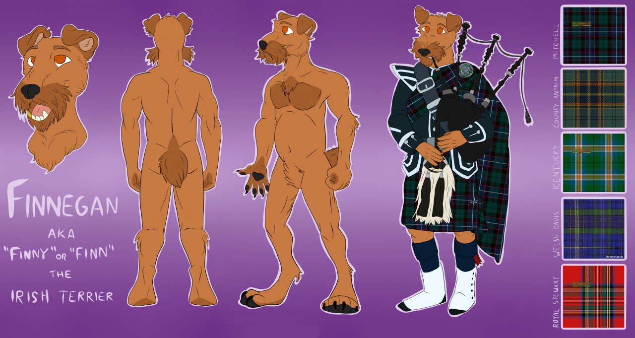 1498272700.fenristhefirecat_irish_dog (1)