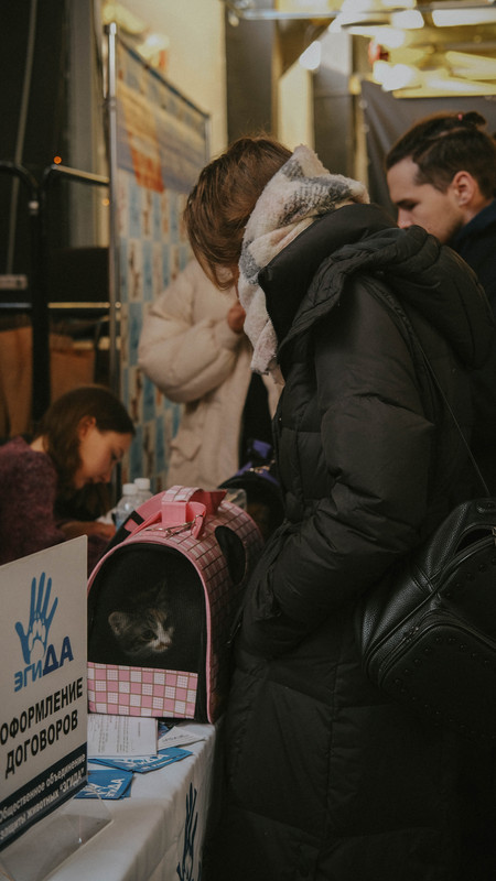 A7E6B48E-D9A9-4440-B72E-A3DD48E5E497