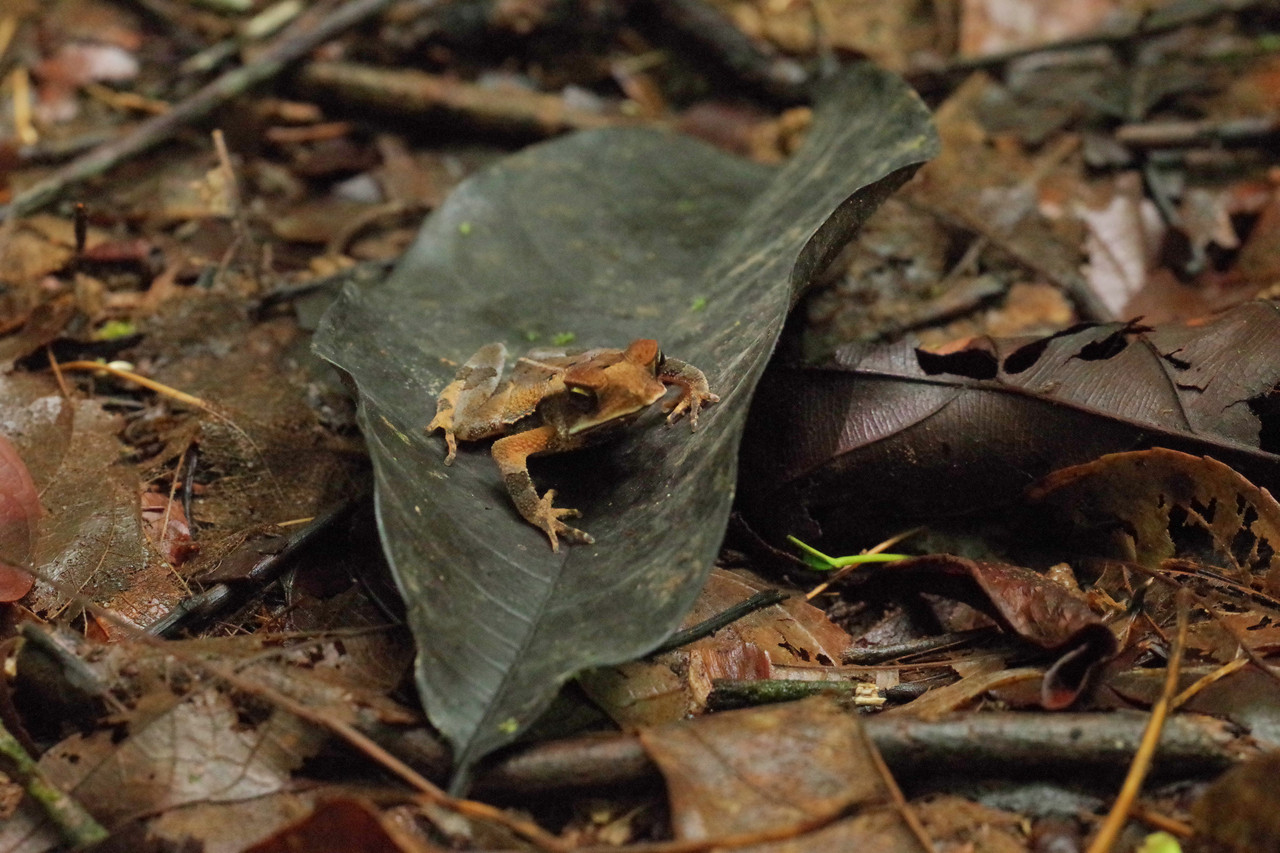 Fieldwork photo 3