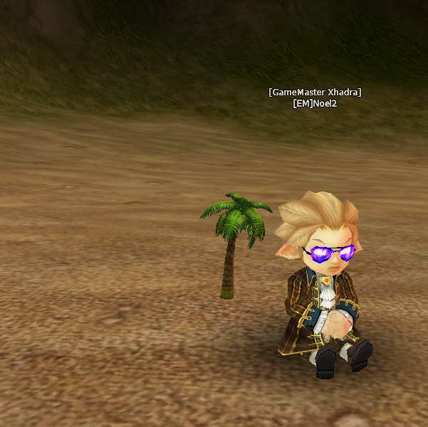 Palm-ID-23102.png