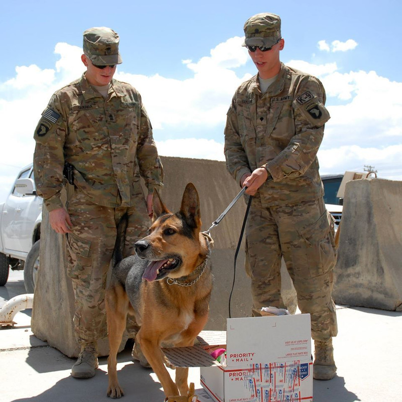 11779780_843168719113433_2830070879849834850_o