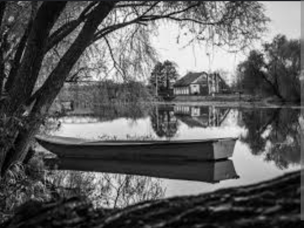 Screenshot_20221124-162229_Chrome