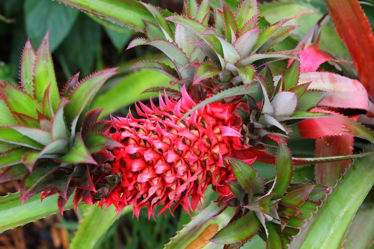 07AAA01E-B053-4CEA-9F36-277319CA8396