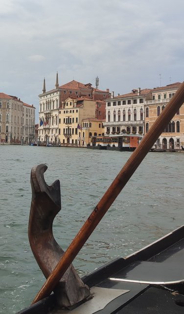 Pizcas de arte en Venecia, Mantua, Verona, Padua y Florencia - Blogs de Italia - Pateando Venecia entre iglesias y museos (22Kms) (85)