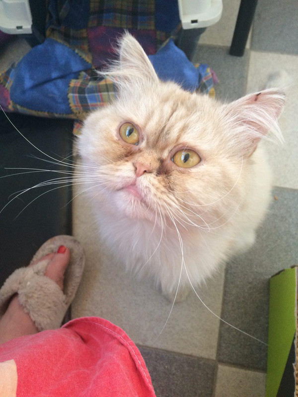 photo_2018-05-16_16-11-50 (2)