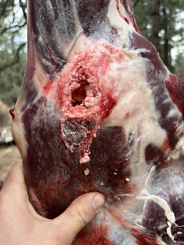 1FD60BBA-80DD-4288-B35B-B71B611DAA20