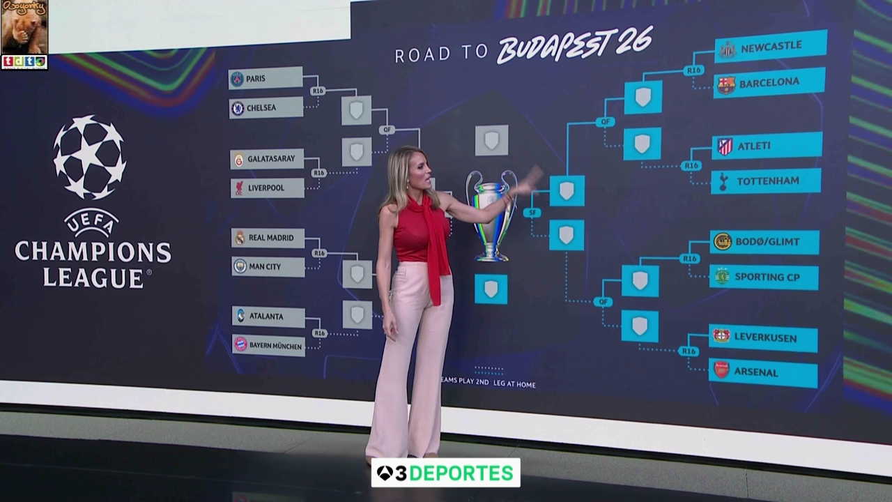 angierojotetones A3 oso56 (9)