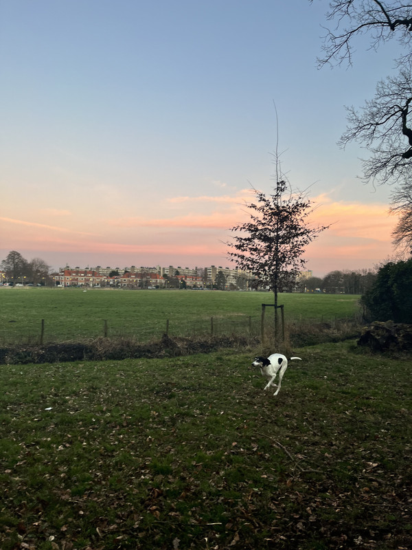 BCE8062C-C396-4792-92CC-287938A80D25