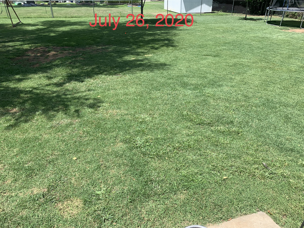 ECD356D7-AA50-4A8A-91E3-4FEA03183E70