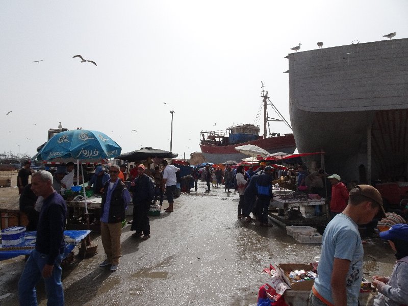 [Obrazek: DSC06863.jpg]
