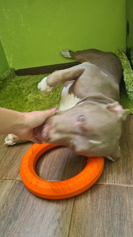 644AF23D-227D-4CAD-A9CE-B4CE0CD39D22