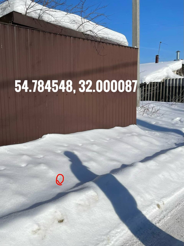 photo 6 2026 02 10 18 58 49