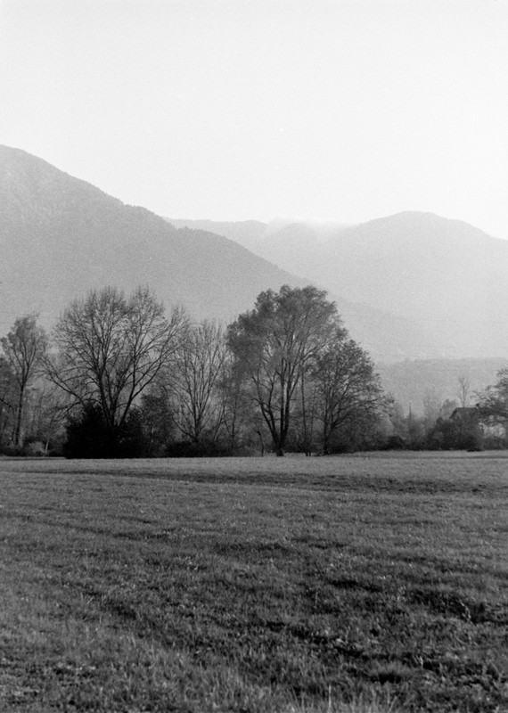 Leica II_31oct2021_19 (730x1024)