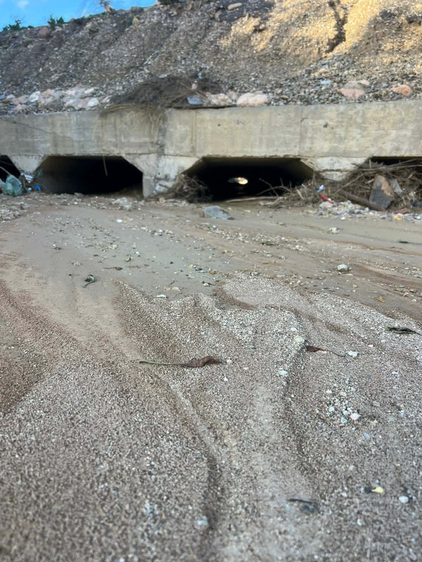 649193614-790705514082056-4604707327169534137-n