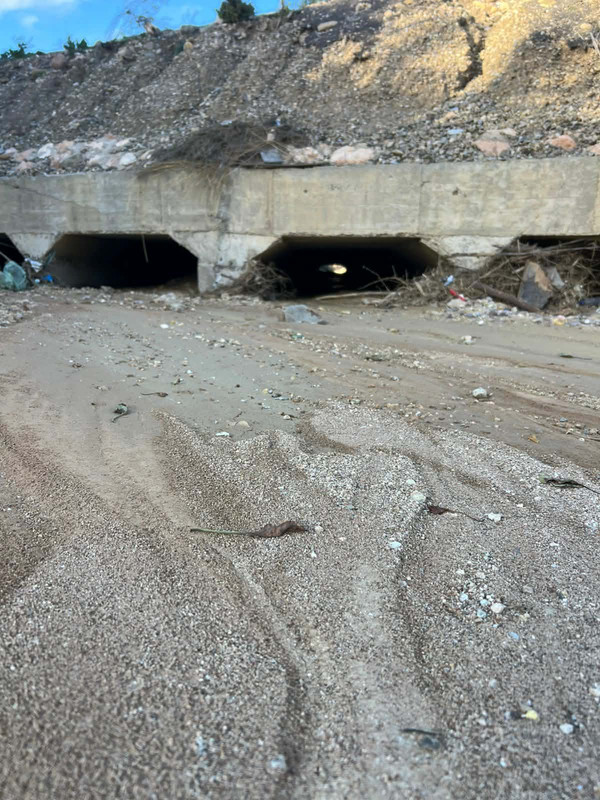 647259333-1250421286579048-7021413246144046096-n